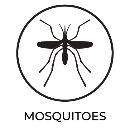 Mosquitoes