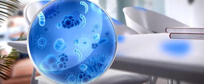 Clean Bacteria Cleaning vs. Sanitizing vs. Disinfecting | Lysol US