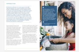 Report: Making Hygiene Matter