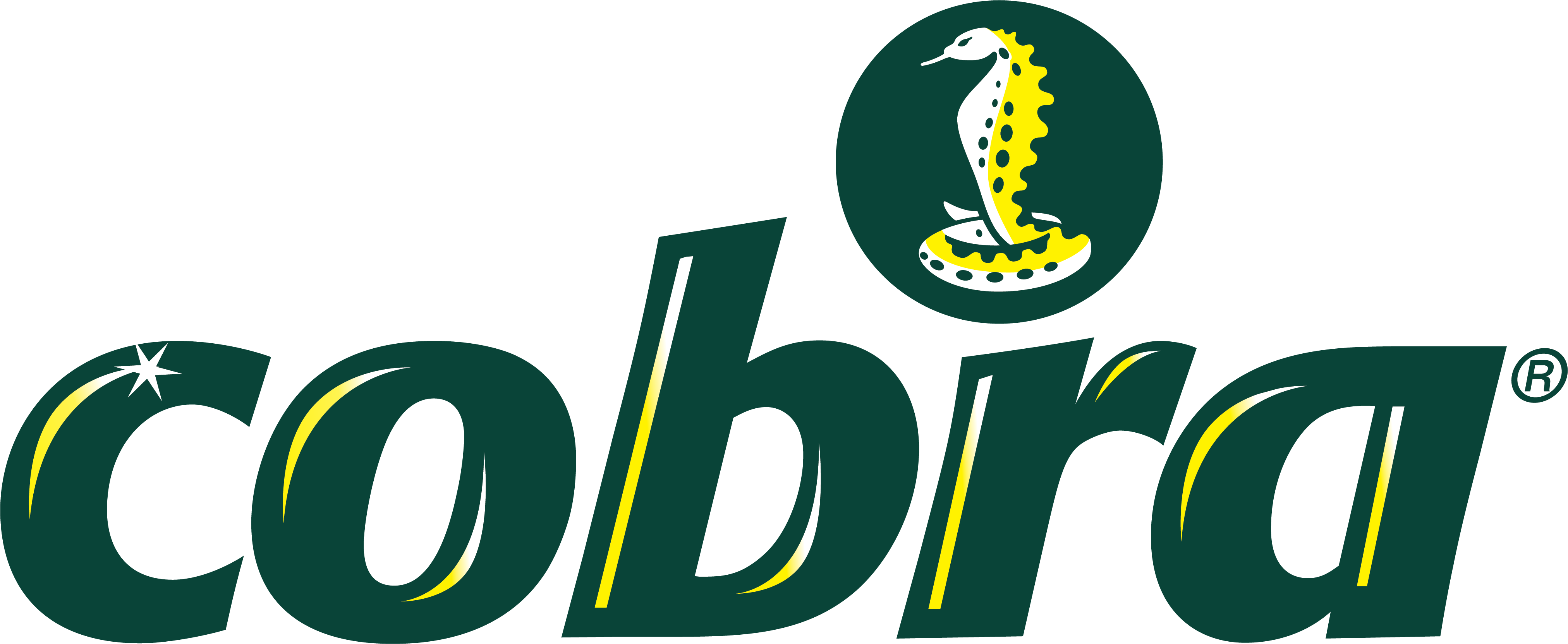 Cobrapolish logo