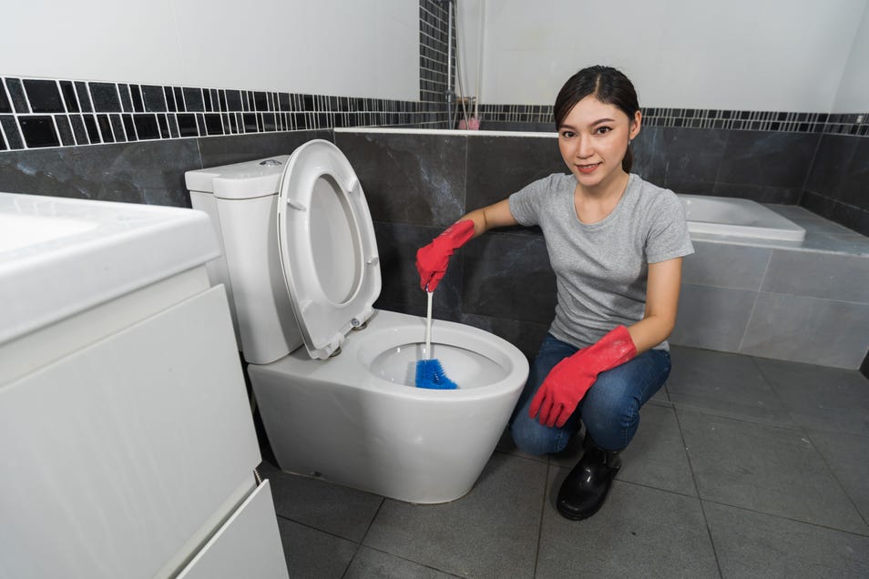 women cleaning toilet bowl using toilet brush