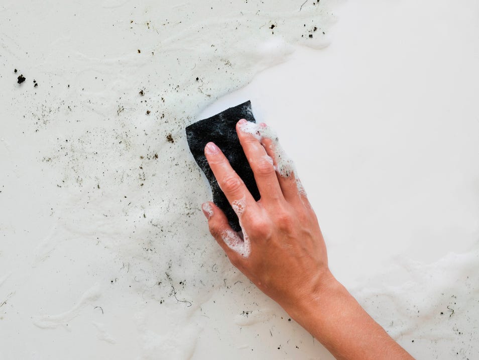 The Bathroom Hotbed for Mold Which is Hiding in Plain Sight