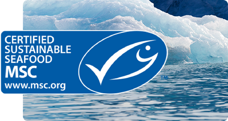 Certified for Sustainability
