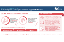 Infographic: Making Hygiene Matter Report