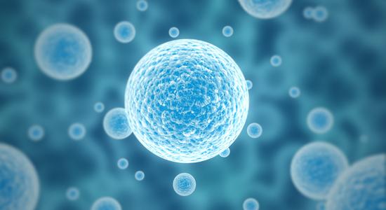 Healthy Bacteria Can Boost and Maintain Your Immune System