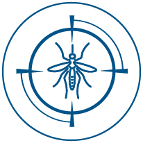 Fast-kill-ants-and-spiders-POS