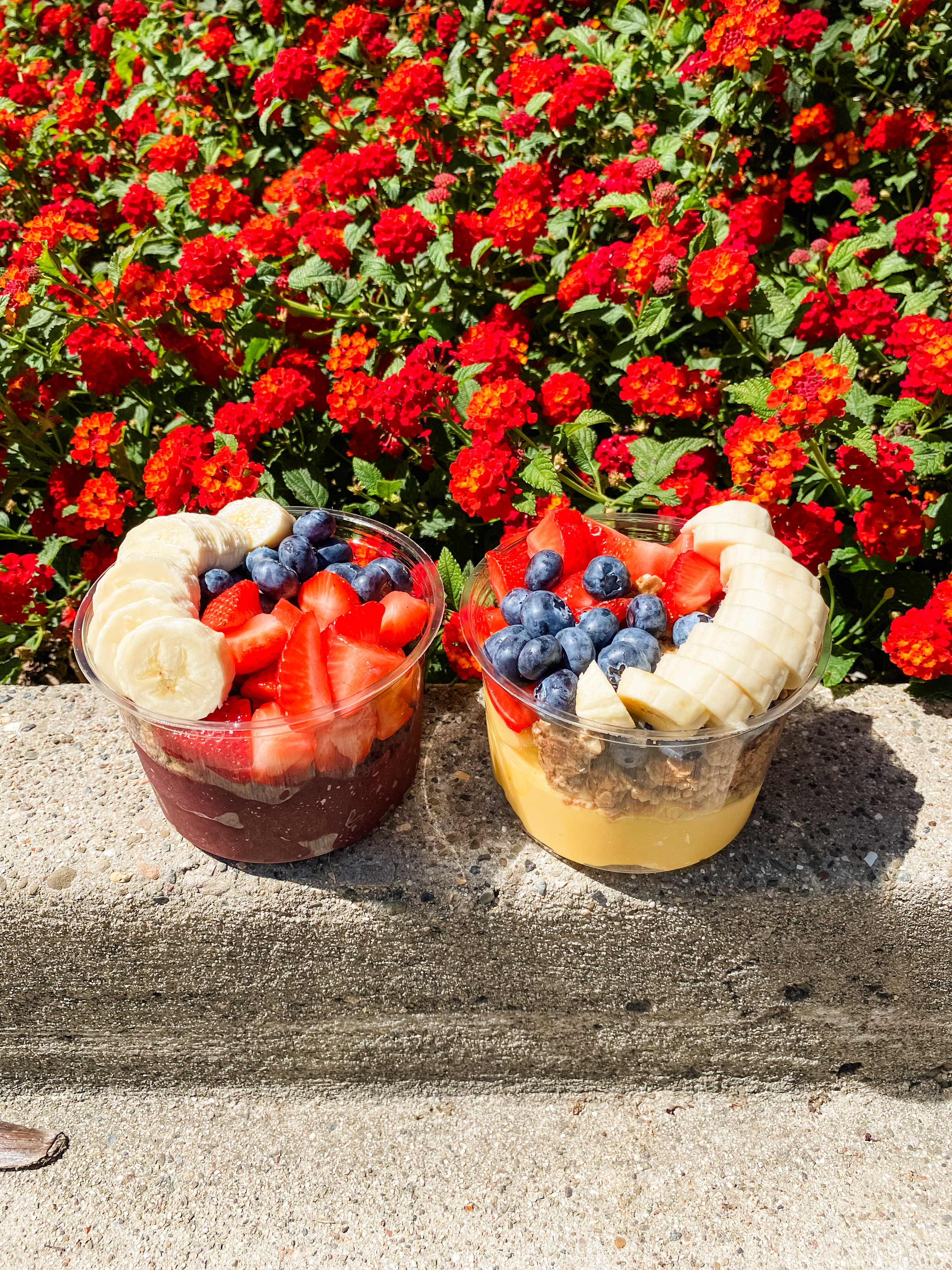 Tropical fruit desserts with the 'zip, zap, zing!'
