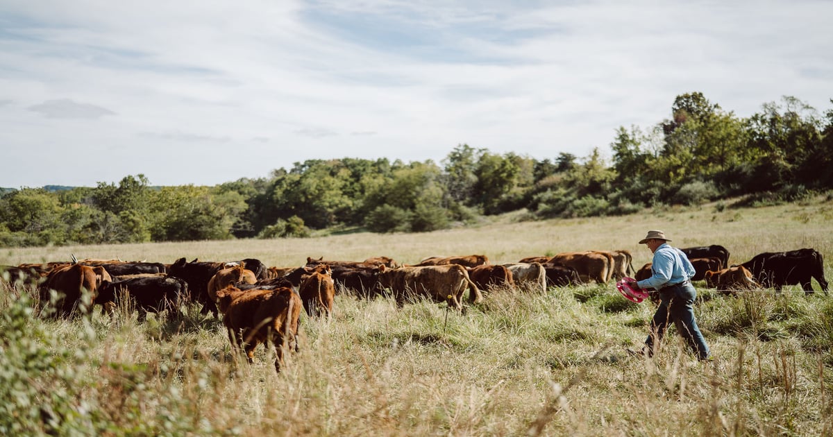 HHS gets rooted in regenerative farming with Polyface Farm's ground beef
