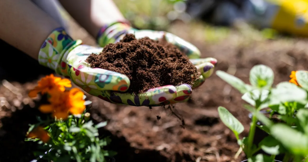 Compost Making Image Albuquerque Public Schools launches compost program
