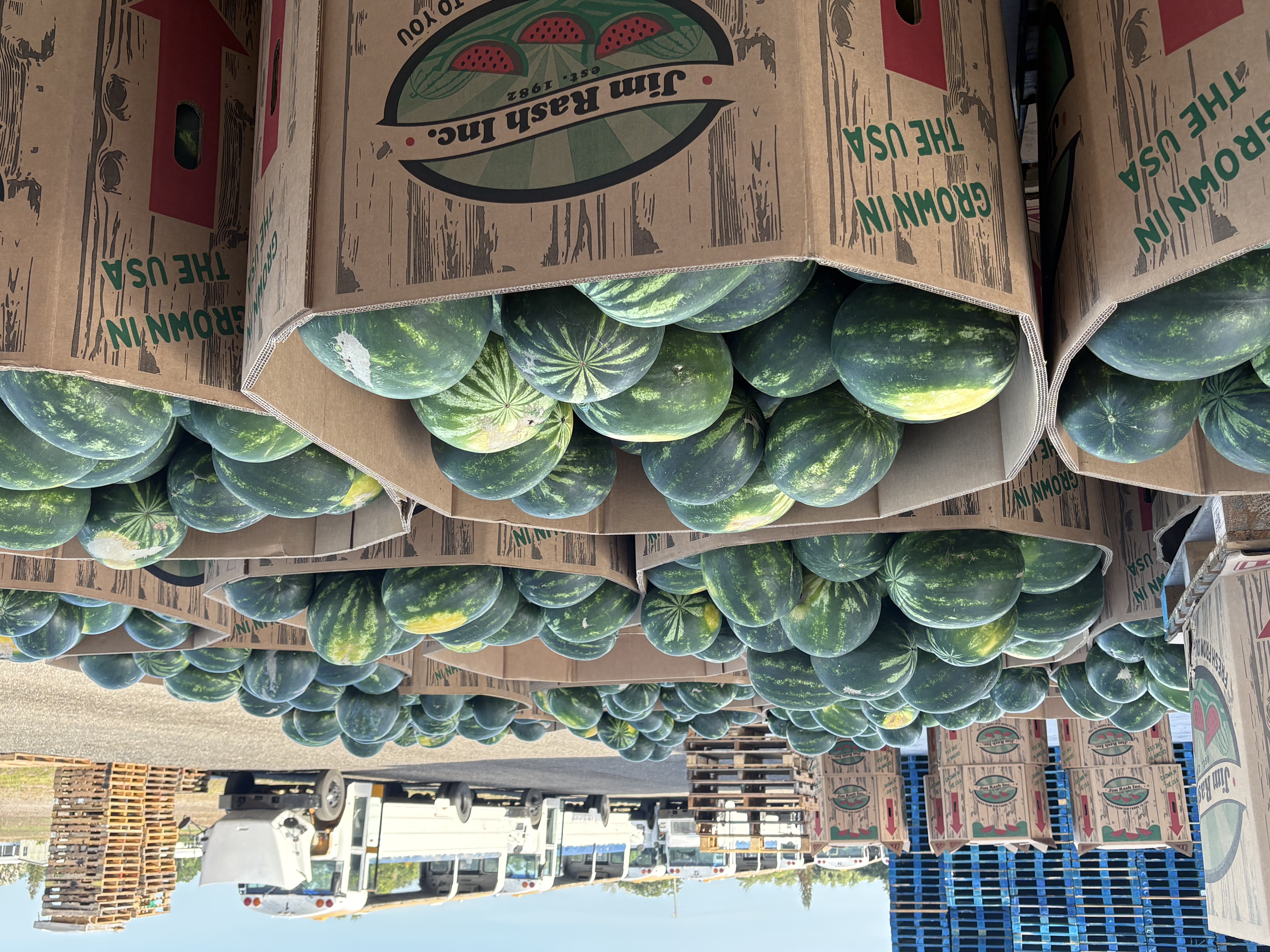 A few fresh, juicy watermelon facts that may surprise you