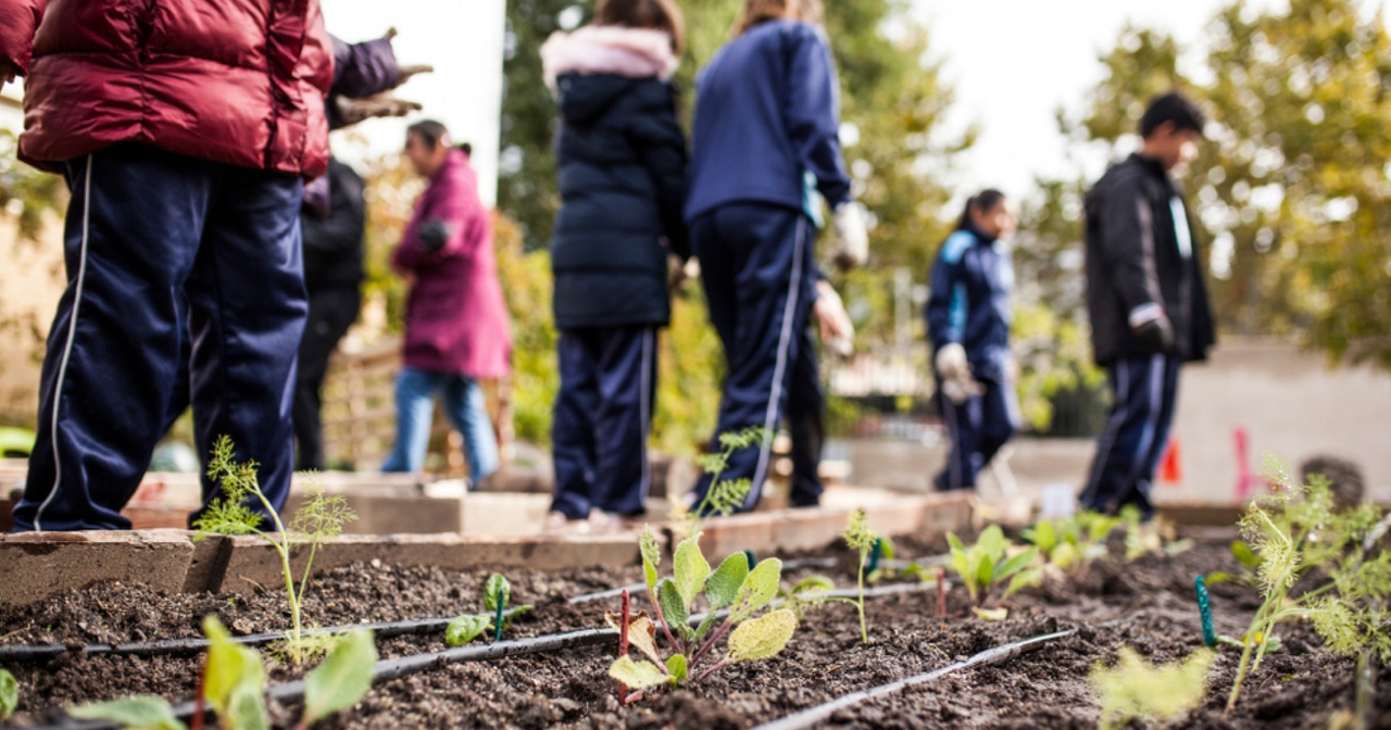 New York farm-to-school programs to get additional grant funding