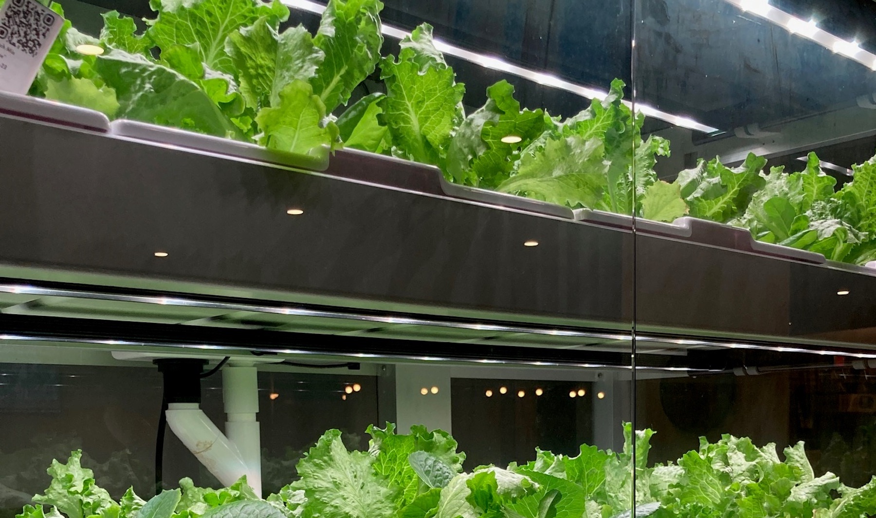 Meeting students where they are, with the foods they want