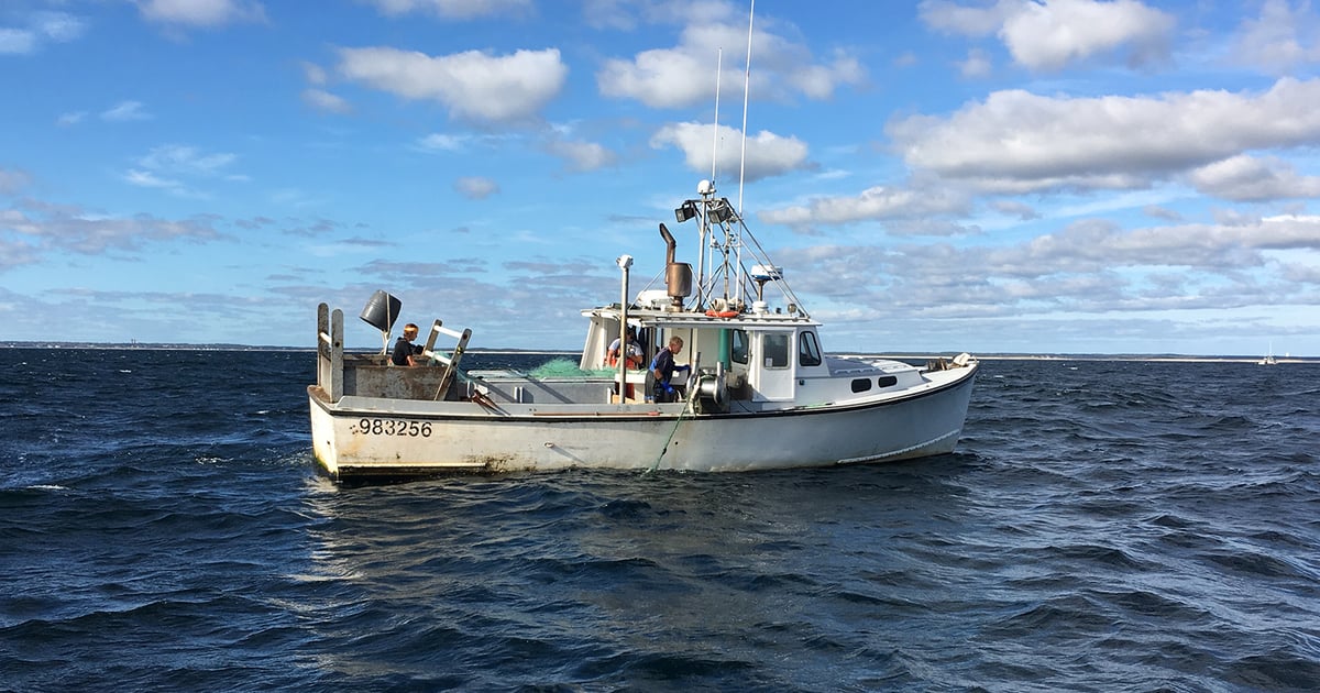 Underutilized fish stories, tips and things to know: from dock to ...