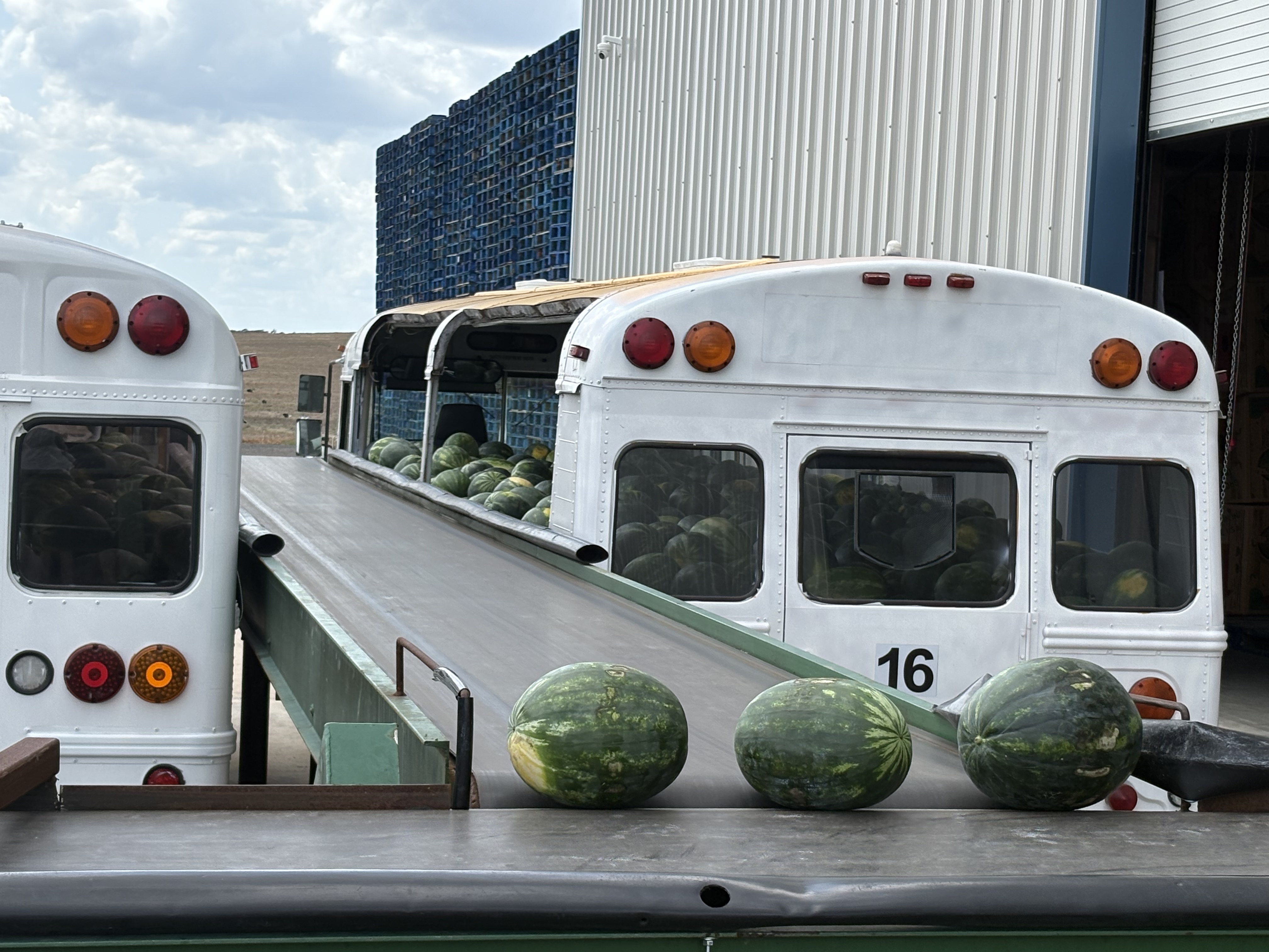 A few fresh, juicy watermelon facts that may surprise you