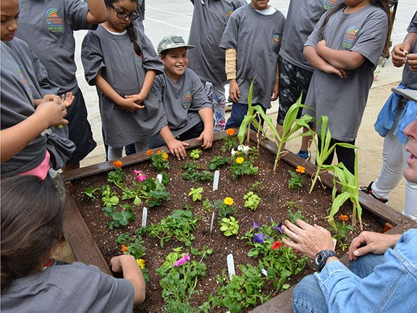 students garden students garden