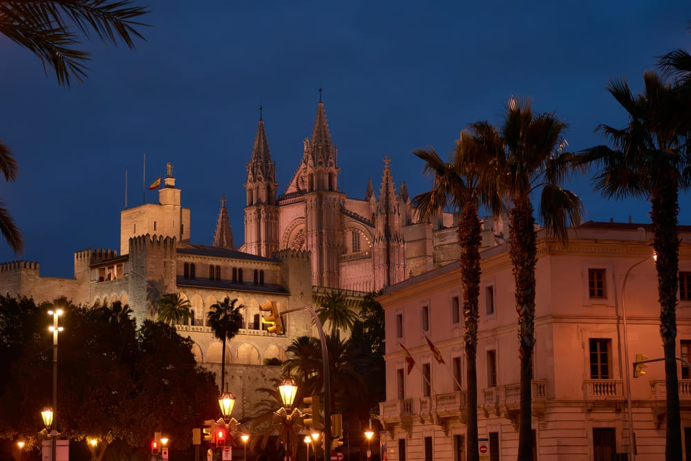 palma de mallorca