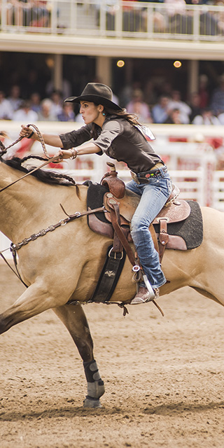 Assister au Stampede de Calgary