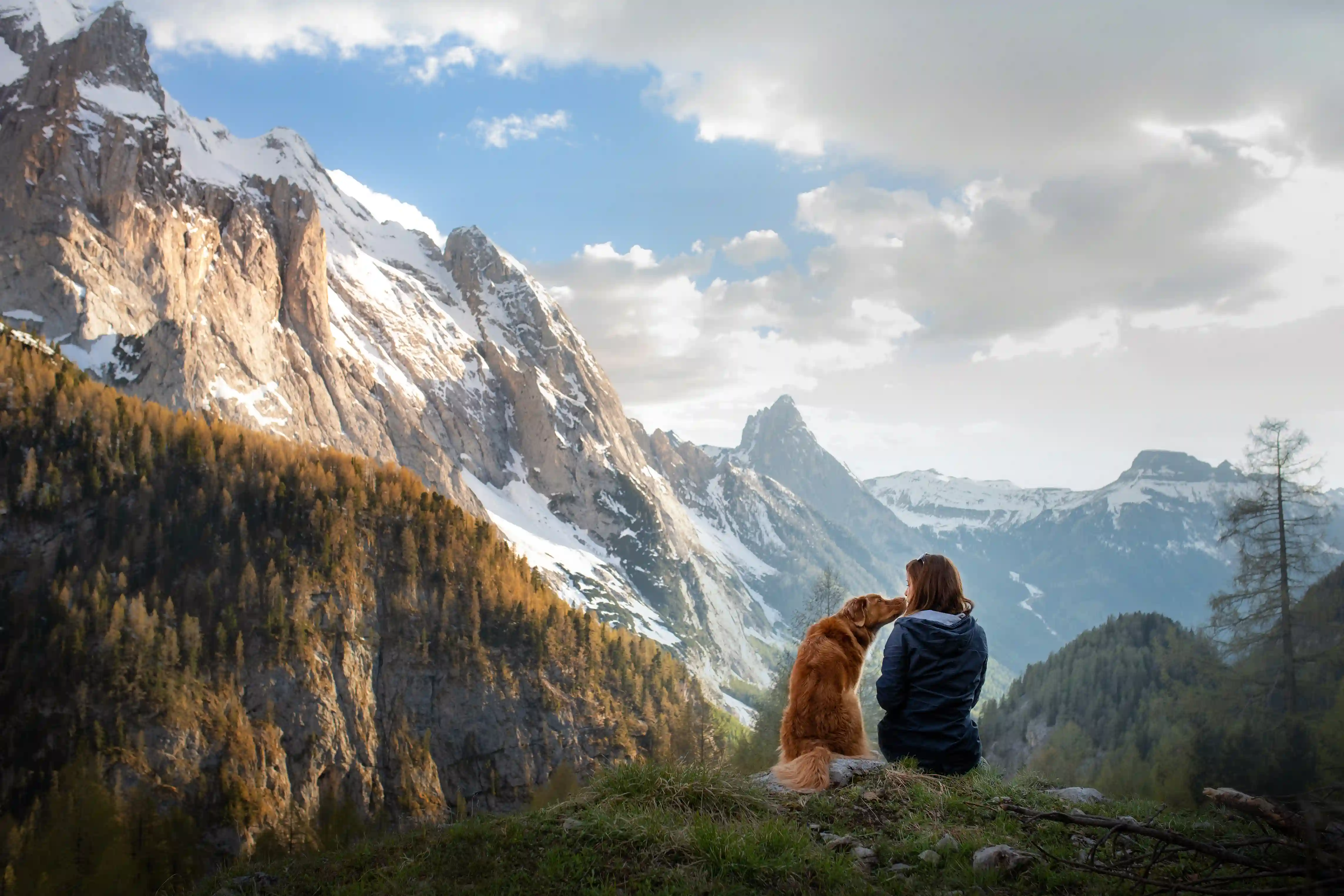 Viajar con mascotas: España lidera el turismo pet-friendly en Europa