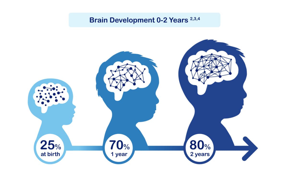 how_rapidly_does_the_brain_develop_in_the_first_1,000_daysvideo_gallery_1400x860.jpg