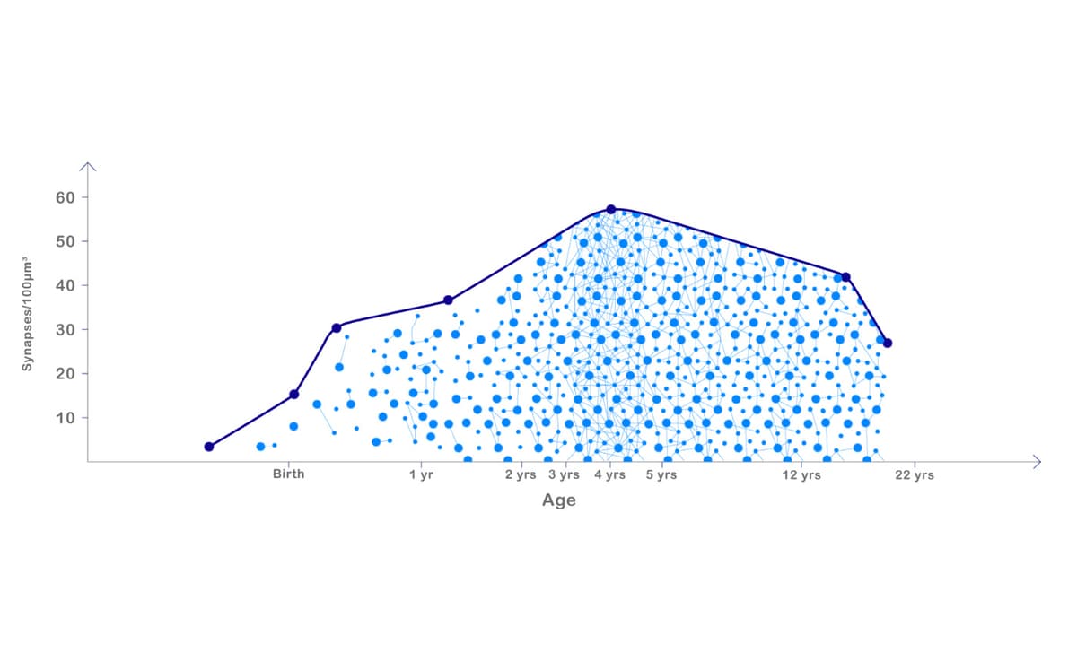 the_explosion_of_myelination_and_synaptogenesis_in_early_life_video_gallery_2_1400x860.jpg