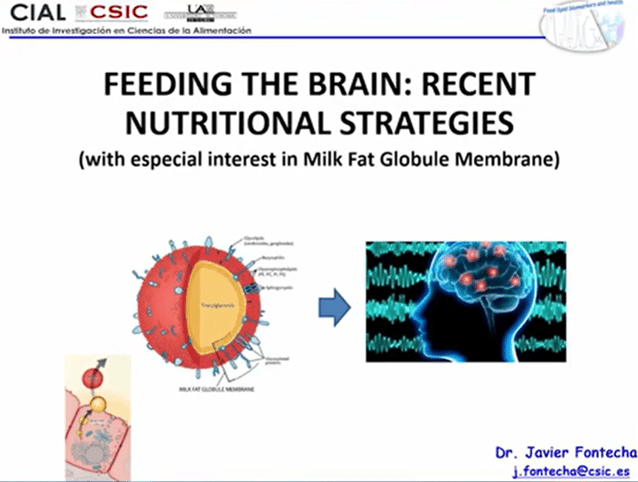 feeding_the_brain,_recent_nutritional_strategies.png