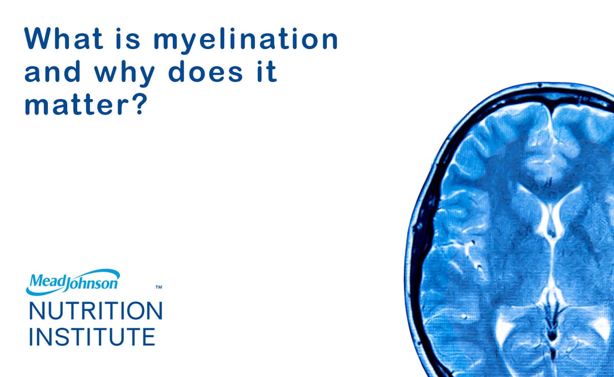 q&a_what_is_myelination_and_why_does_it_matter_video_gallery_1400x860.jpg