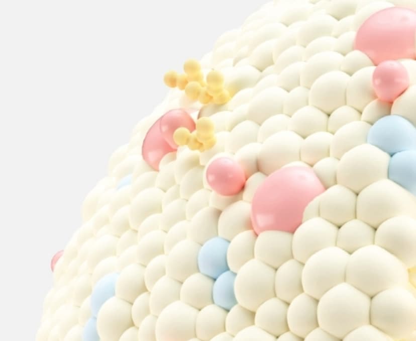 Functional components of human milk