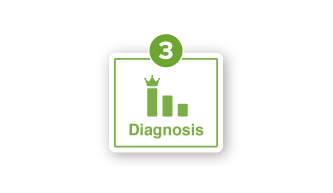 Diagnosis of EcoAdviser
