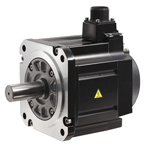 Rotary servo motor