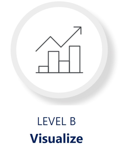 Level B of SMKL: Visualization