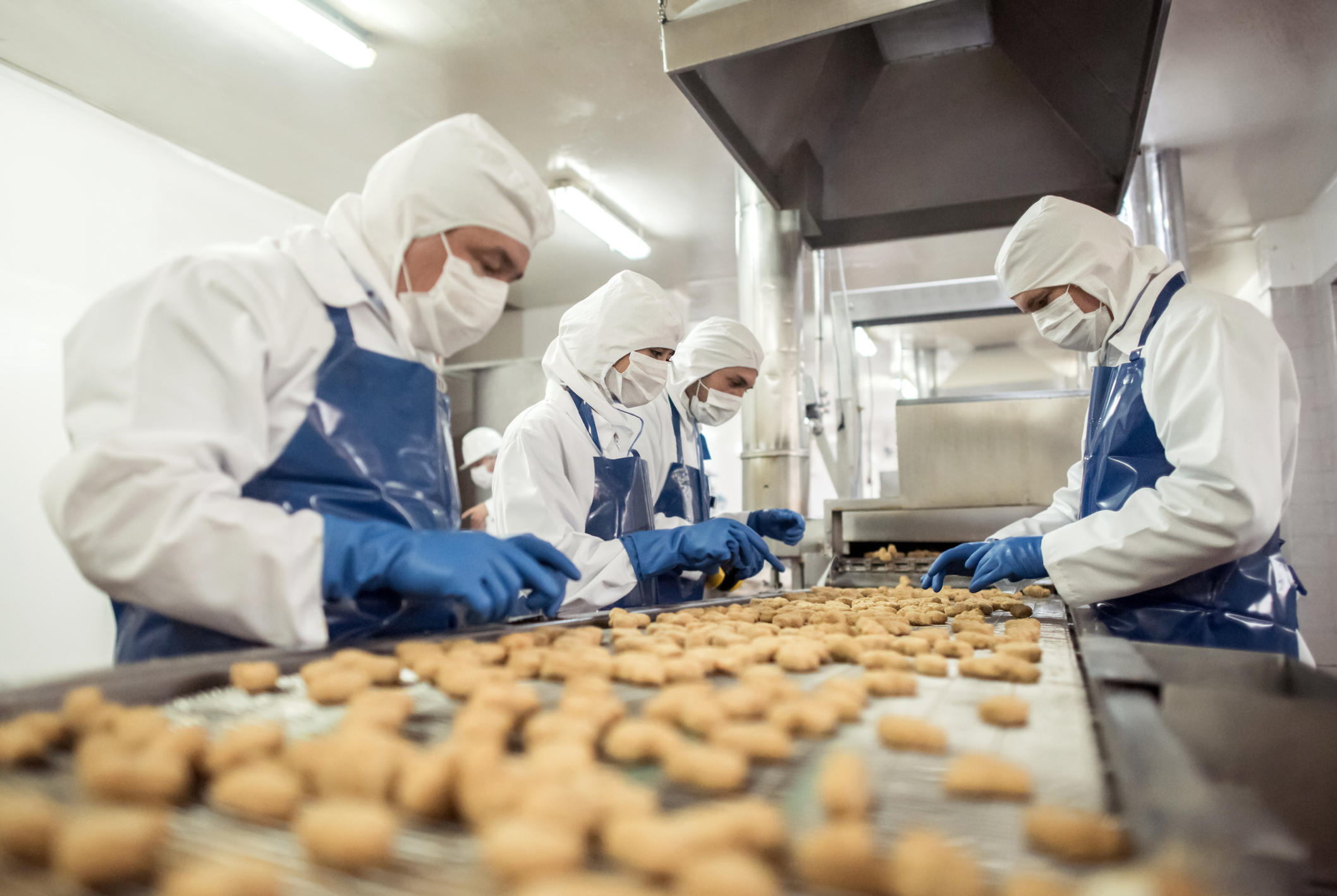 Food manufacturing automation explained - Mitsubishi Electric