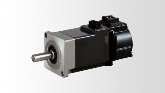 Rotary servo motor