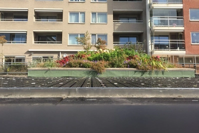 Green roof VvE ’s Gravenloo