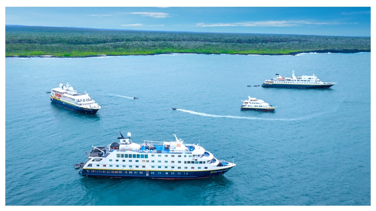 New cruiser Varese with long range secondaries - World of