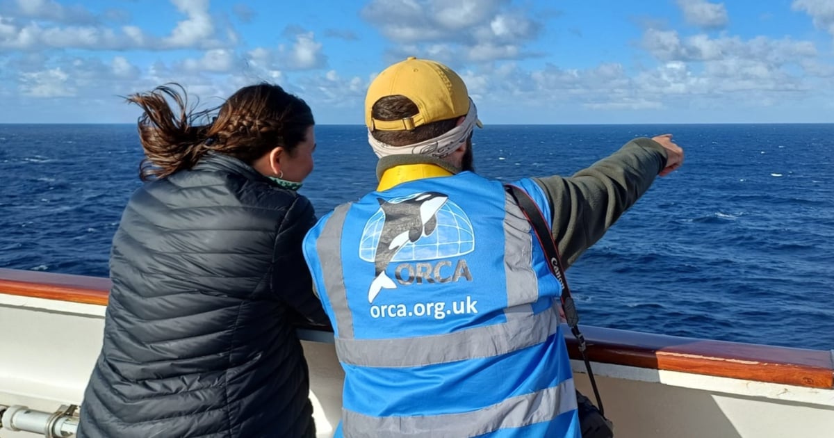 Ambassador backs ORCA's free marine training programme