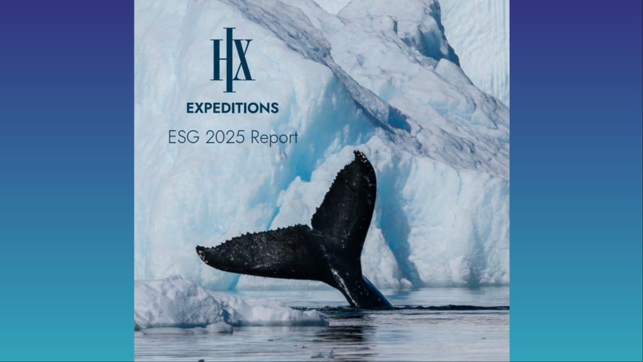 A whale tail breaking the surface of the water with a glacier behind it
