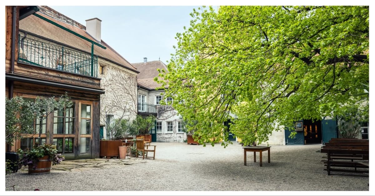 Trafalgar 'Sail A Great Story' campaign has travel advisor incentive