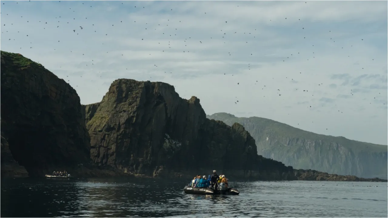 Birds fly above two Zodiac vessels carrying passengers, as they sail around rocky cliffs