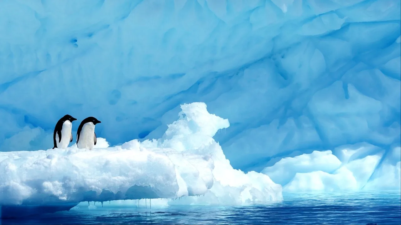 Two small penguins perched on a jutting outcrop of glacier