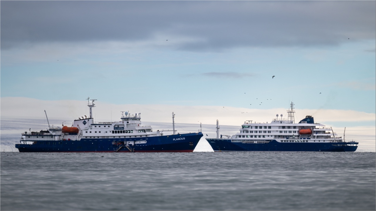 How to Get Internet on a Cruise Ship for Free: Insider Hacks