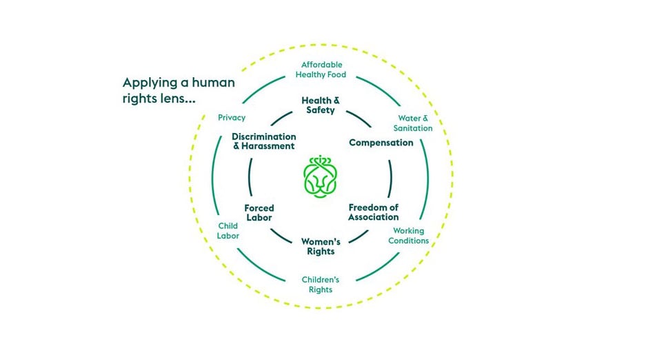 Ahold Delhaize Identifies Human Rights Priorities