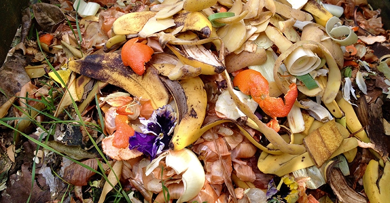 food_waste.jpg food_waste.jpg