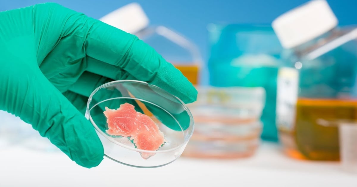 Lab-Grown Meat Causes Food Labeling Confusion