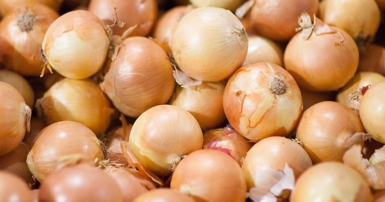 Onions linked to salmonella outbreak in 37 states