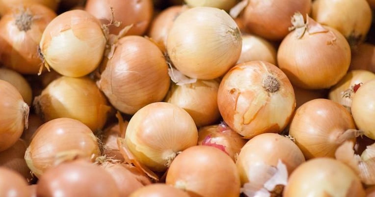 Onions linked to salmonella outbreak in 37 states