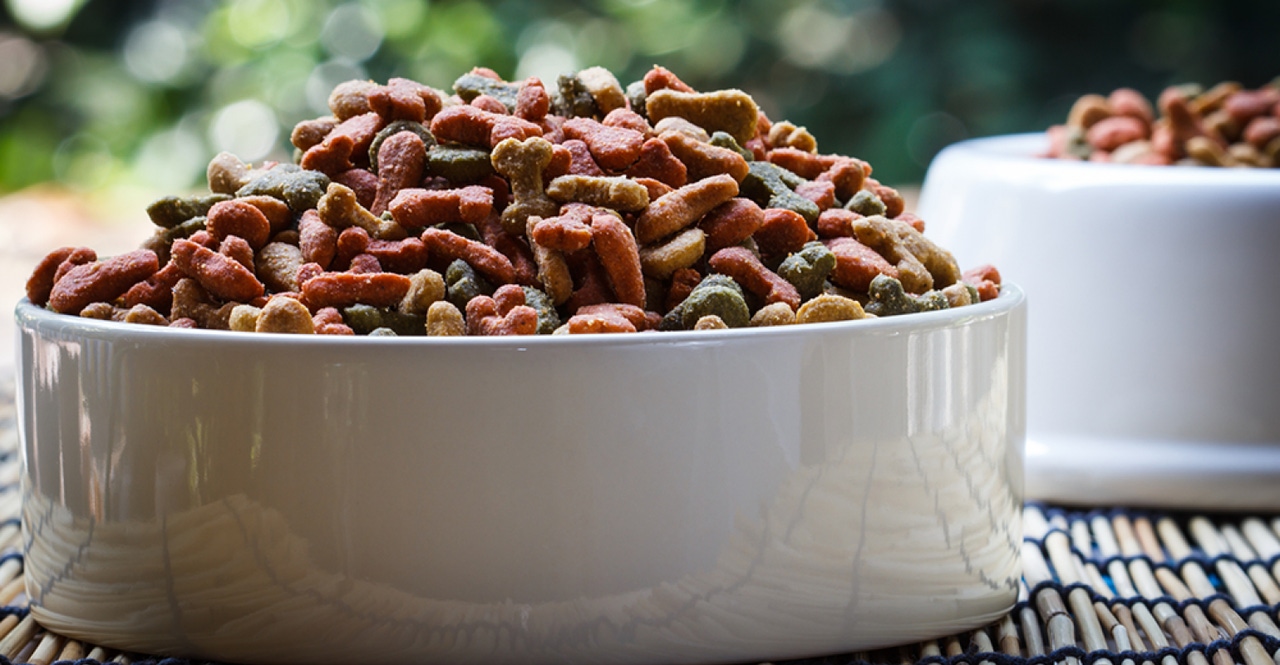 Premium dog kibble clearance