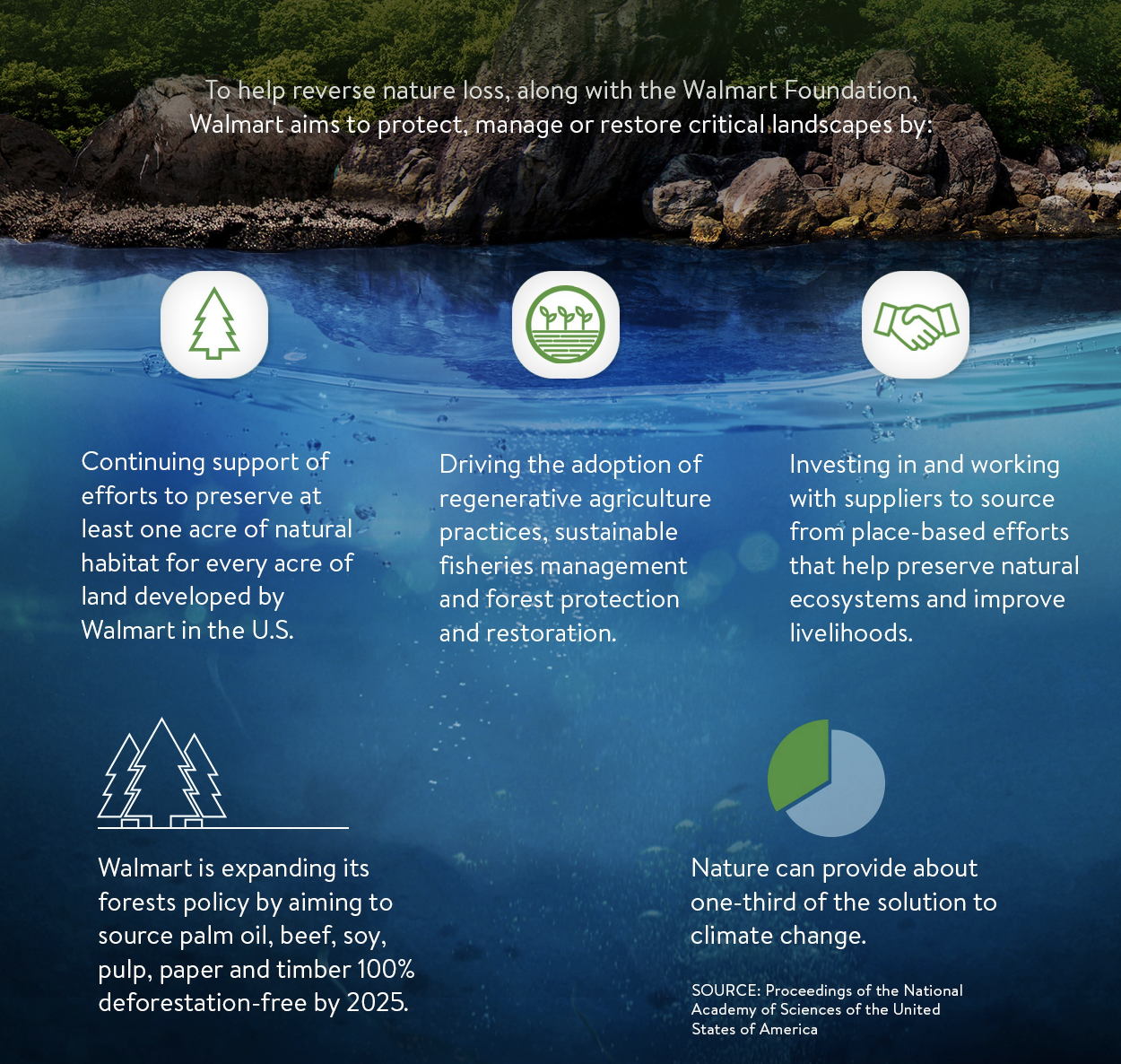 Walmart targets zero emissions by 2040