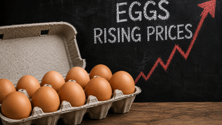 DOJ and multiple states reach settlement with egg producers over alleged price fixing