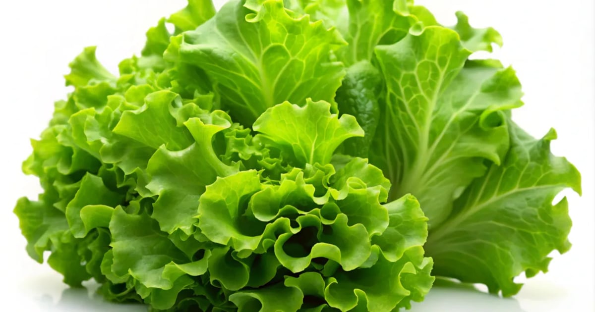 Grocery inflation flat in August, up 2.2% for the year