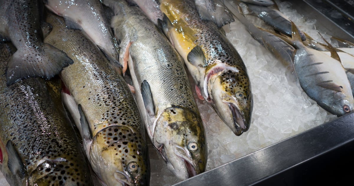 Seb Fish Want to see an uptick in your seafood sales? Invest in the display cases.